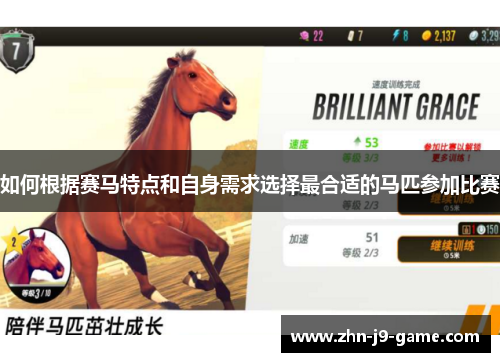 如何根据赛马特点和自身需求选择最合适的马匹参加比赛 如何根据赛马特点和自身需求选择最合适的马匹参加比赛